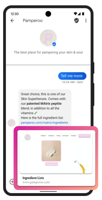 An example of an RCS conversation with a prompt to open a URL.
