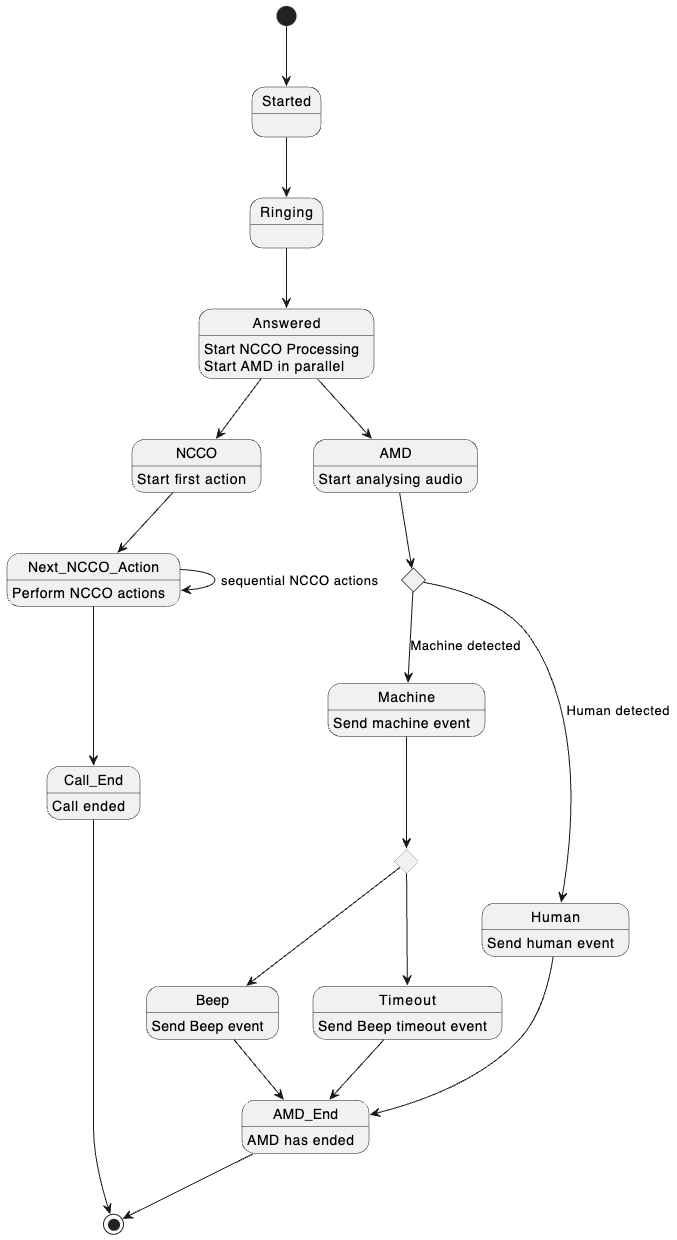Asynchrounous Machine Detection Flow